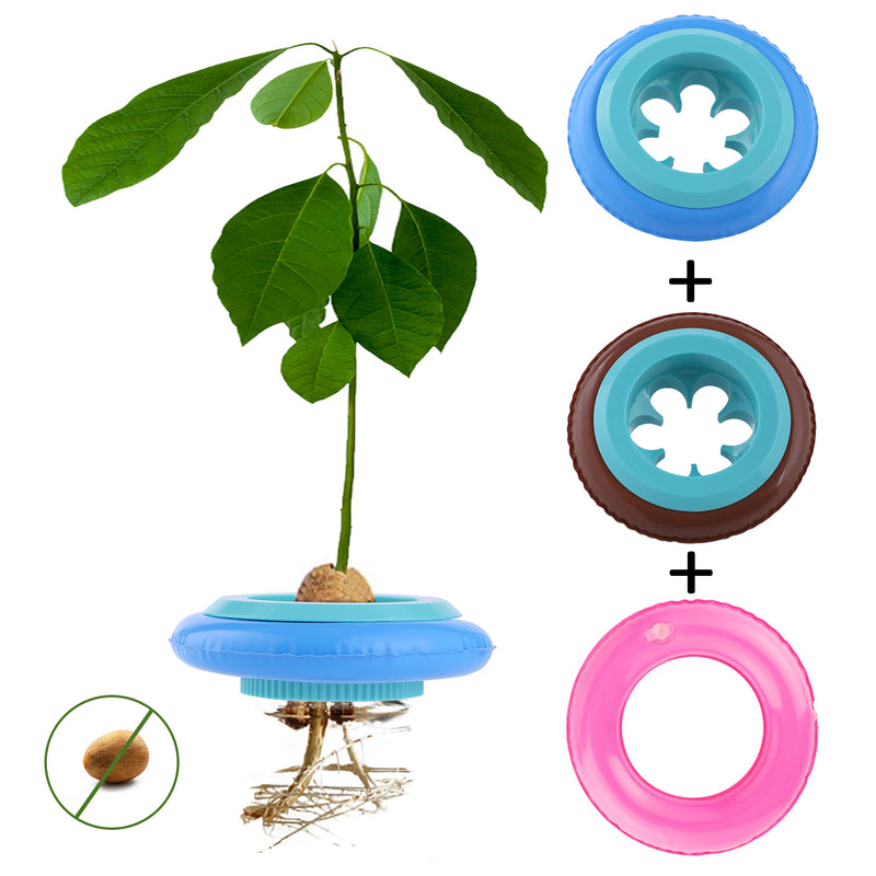 2-Pack Avocado Tree Growing Kit