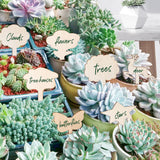 50Pcs Wooden Plant Labels