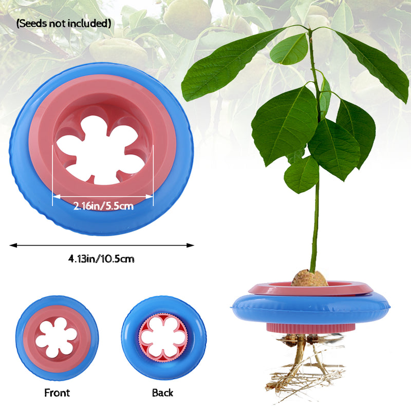 2-Pack Avocado Tree Growing Kit