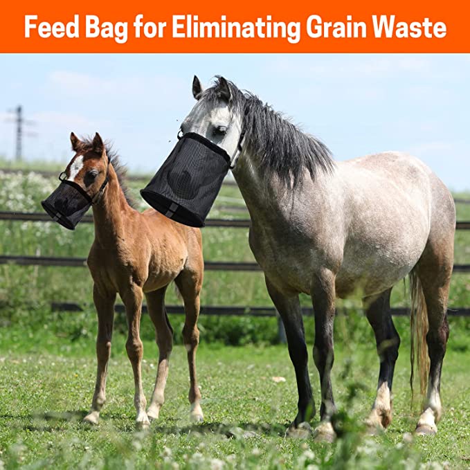 Horse Feed Bag