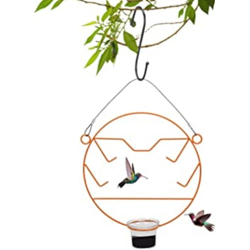 Double-Layered Oriole Bird Feeder