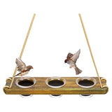 Hanging Wild Bird Feeders for Outdoors